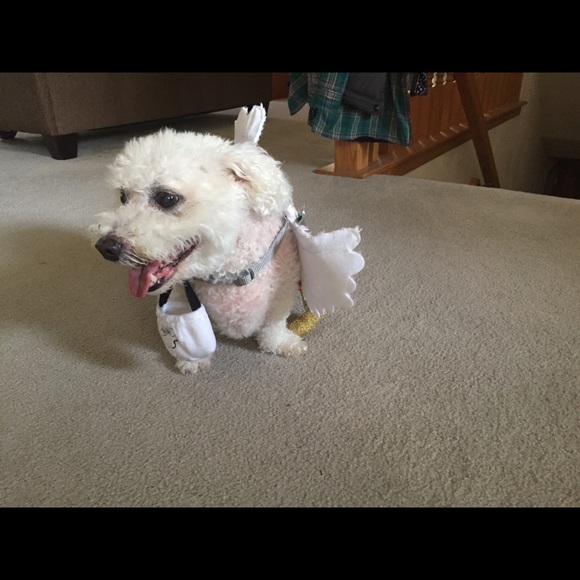 Meet your Posher, Karen - Picture 2 of 2